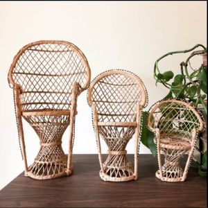 Wicker Plant Chair